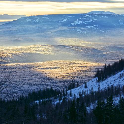 Photo #8478964