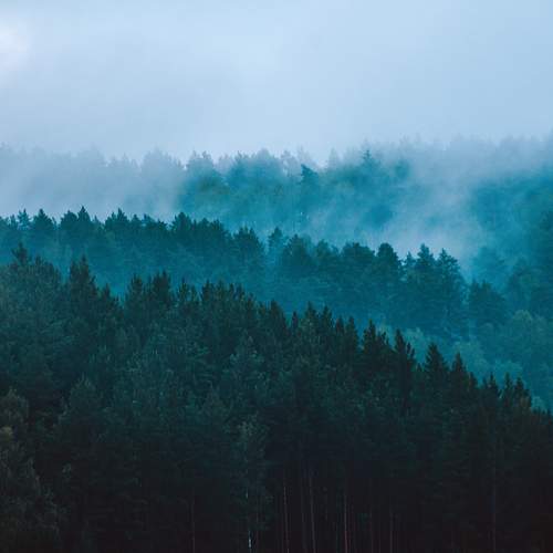 Photo #8479016