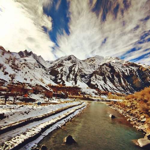 Photo #8479060