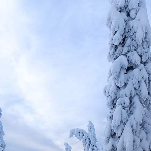 Photo #8479064