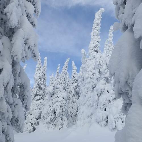 Photo #8479065