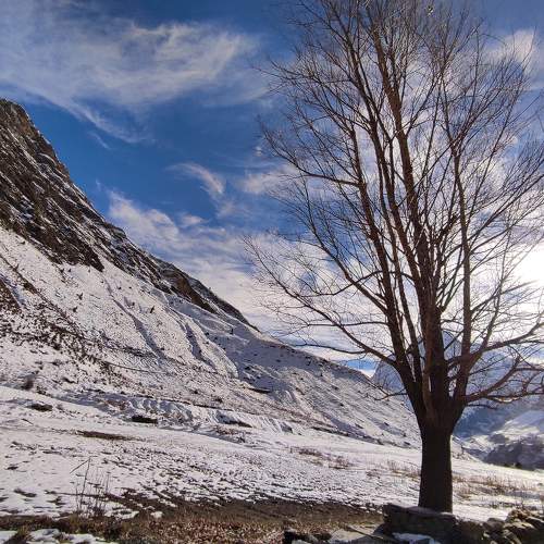 Photo #8479069