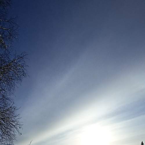 Photo #8479078