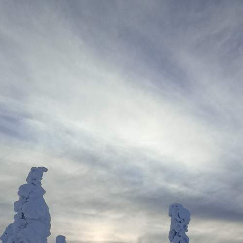 Photo #8479079