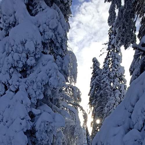 Photo #8479103