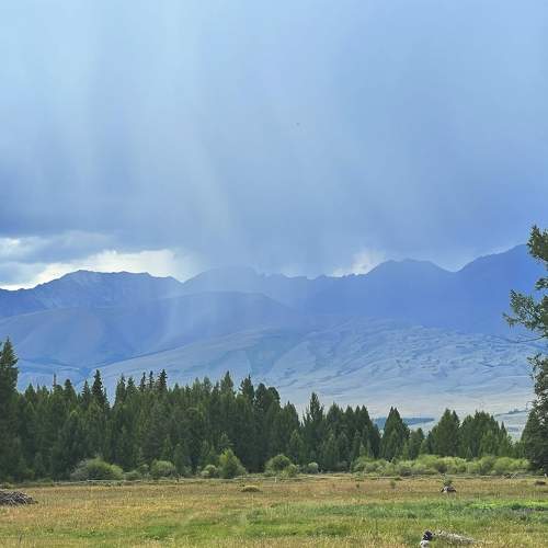 Photo #8479190