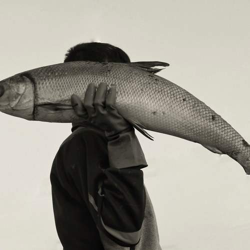 Photo #8479216
