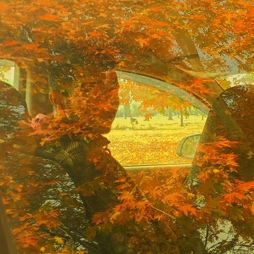 Photo #8479220