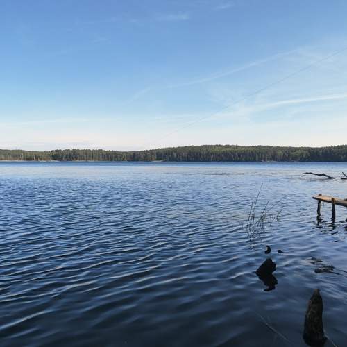 Photo #8479350