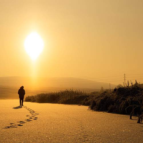 Photo #8479475
