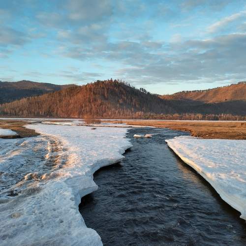 Photo #8479527