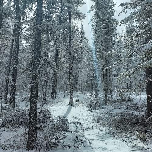 Photo #8479529