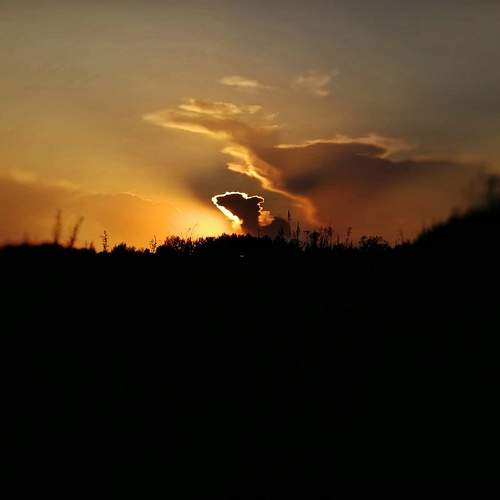 Photo #8479640