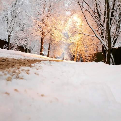 Photo #8479674