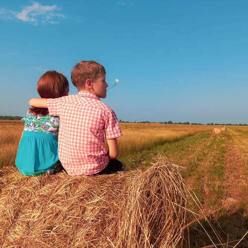 Photo #8479980