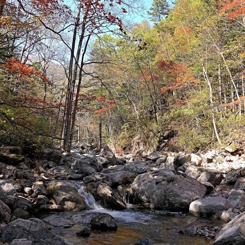 Photo #8480314