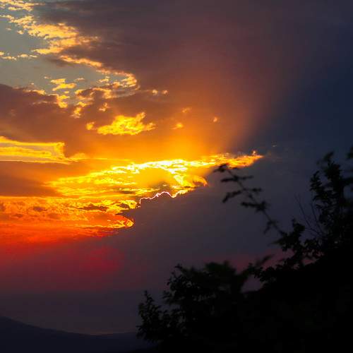 Photo #8480385