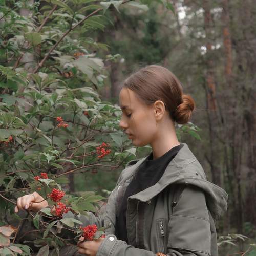 Photo #8480427