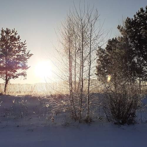 Photo #8480444