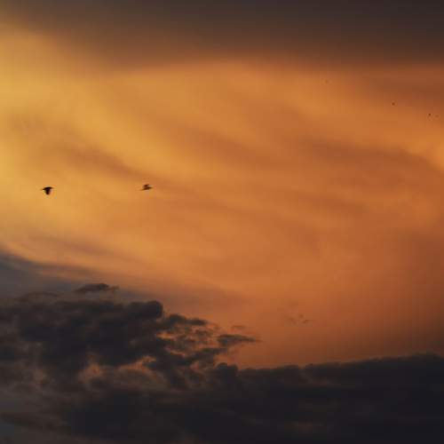 Photo #8480603