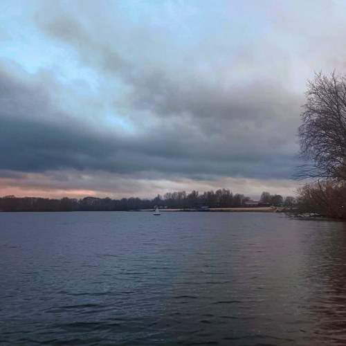 Photo #8480635