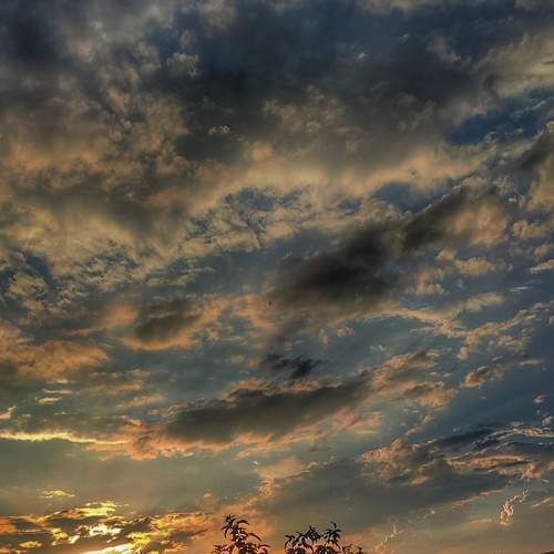 Photo #8480648