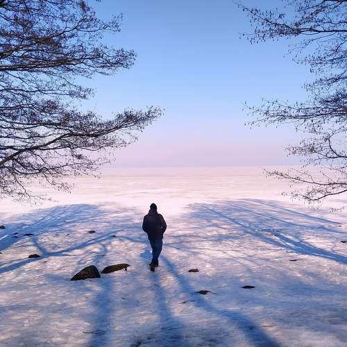 Photo #8480738
