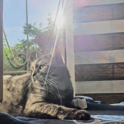 Photo #8481098