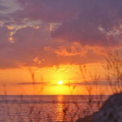 Photo #8481119