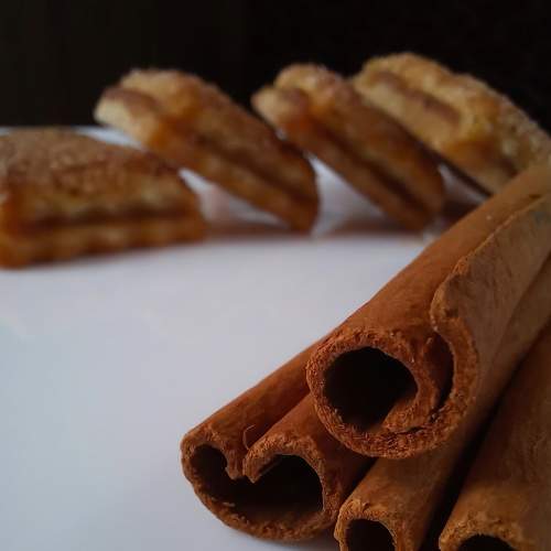 Photo #8481156