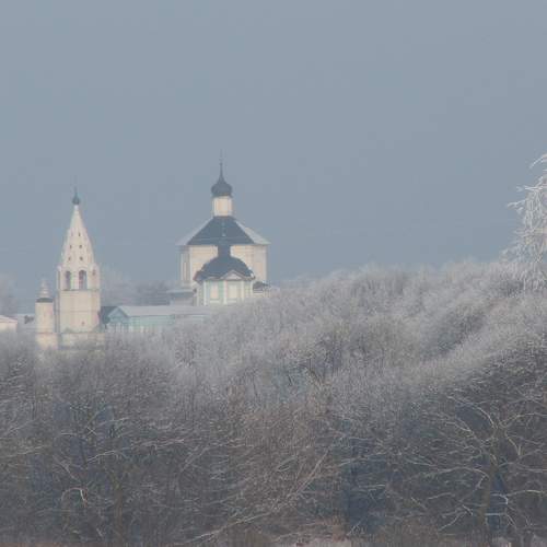 Photo #8481223