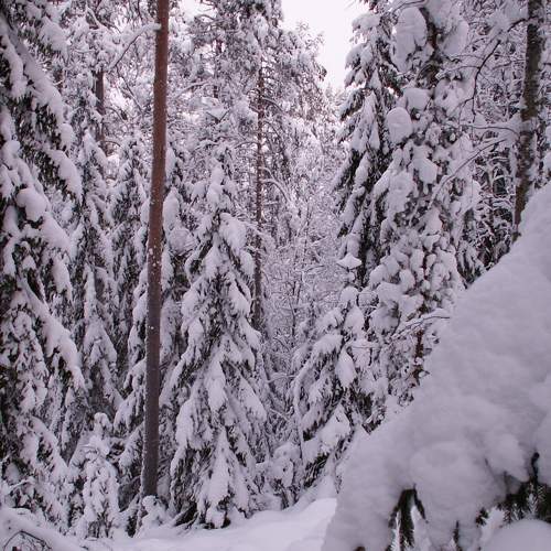 Photo #8481233