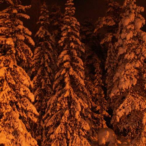 Photo #8481239