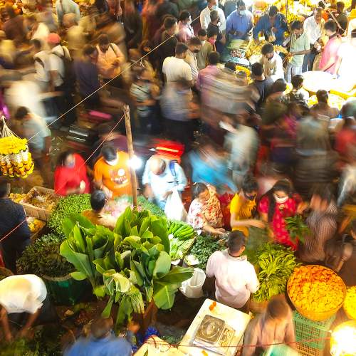 Photo #8481265