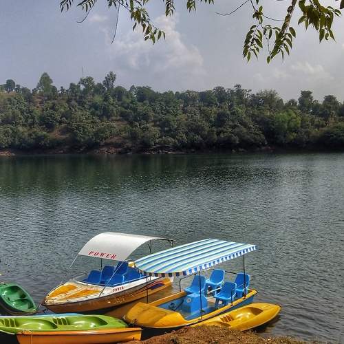 Photo #8481335