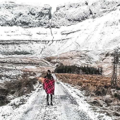 Photo #8481417