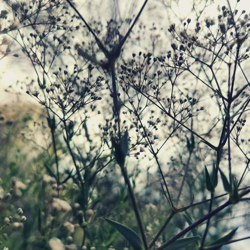Photo #8481551