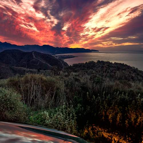 Photo #8481555