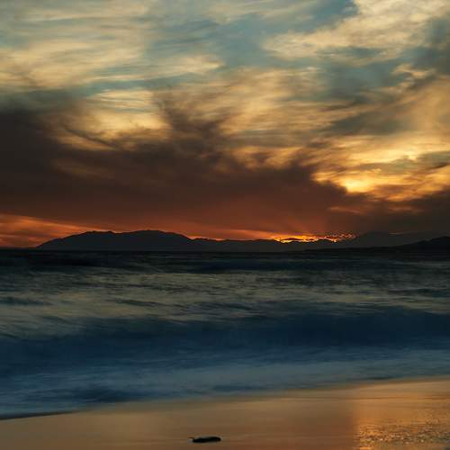 Photo #8481596