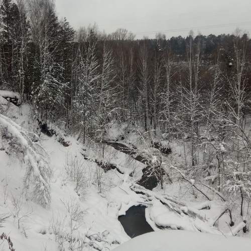 Photo #8481797
