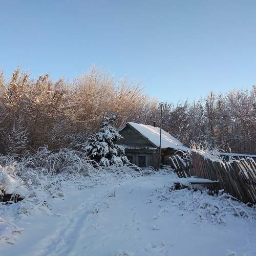 Photo #8481887