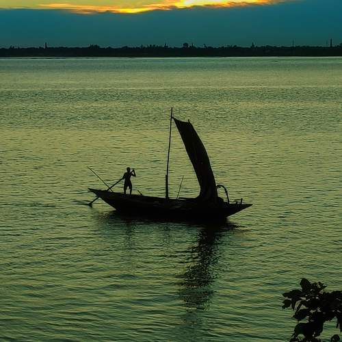 Photo #8482013