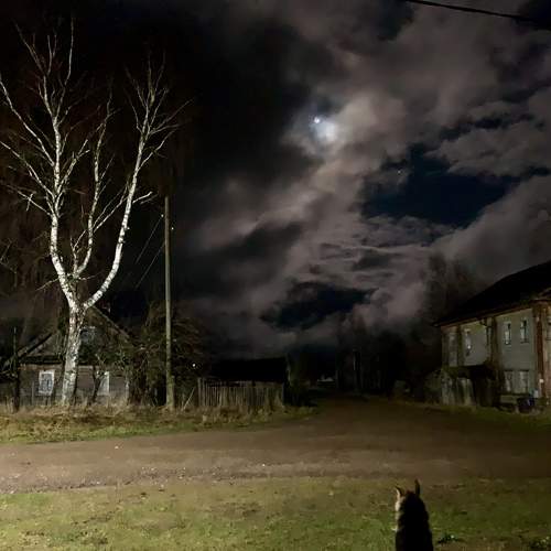 Photo #8482067