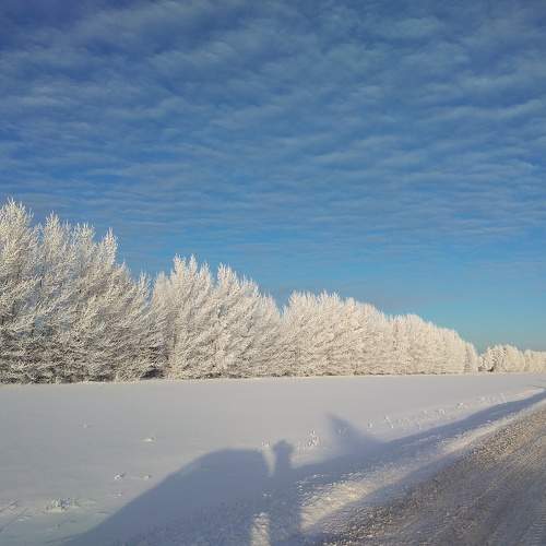 Photo #8482175