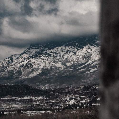 Photo #8482193
