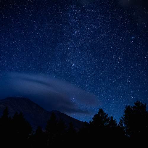 Photo #8482212