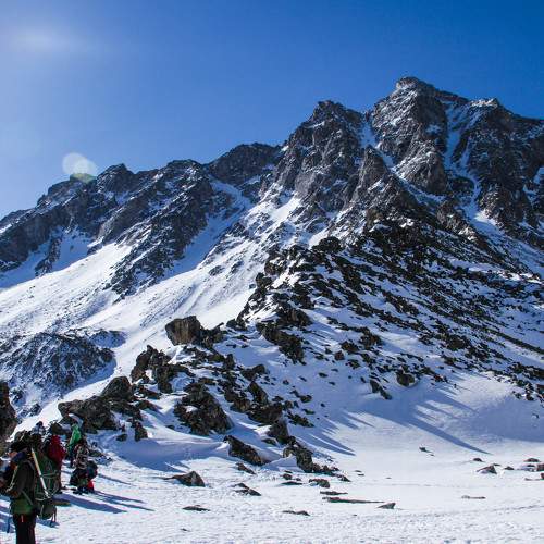 Photo #8482216
