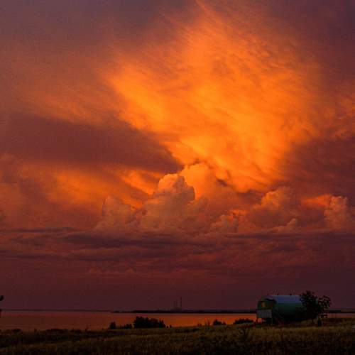 Photo #8482234