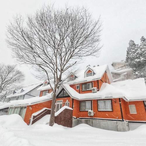 Photo #8482292