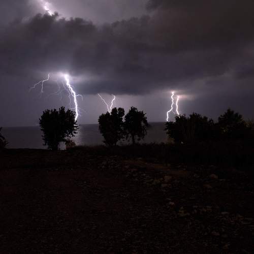 Photo #8482298
